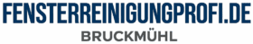 fensterreinigungprofi.de